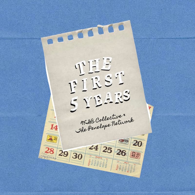 Cover Image for The First 5 Years