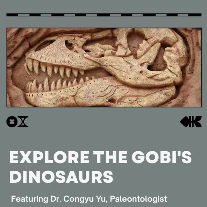 Cover Image for 🦖Dinosaurs of the Gobi 恐龙传奇与戈壁探险