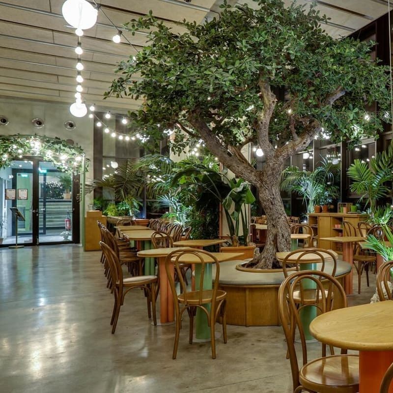 Cover Image for 📚 XL Reading Party x live Piano Concert 🎹 | Nuits de la lecture | TiTi Palacio