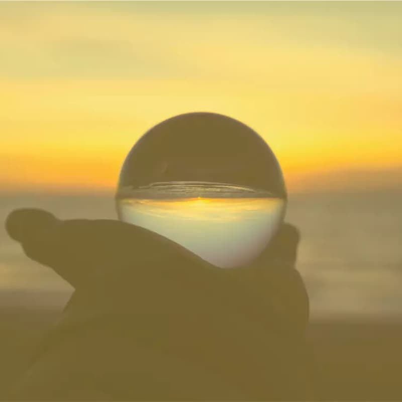 Cover Image for Launch Event: PAHO/WHO Collaborating Centre on AMR