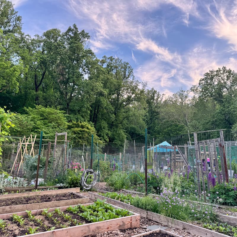 Cover Image for Planting Seeds — Presented at DC Climate Week 2026