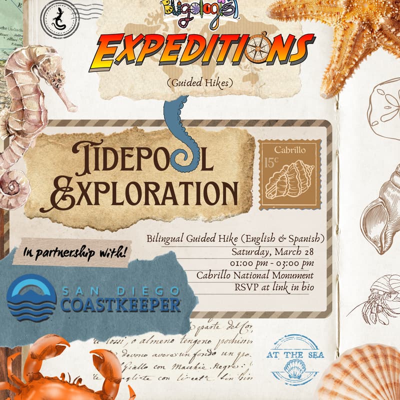 Cover Image for Bilingual Tidepool Exploration 3/28
