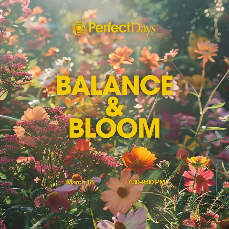 Cover Image for Perfect Days: Balance + Bloom