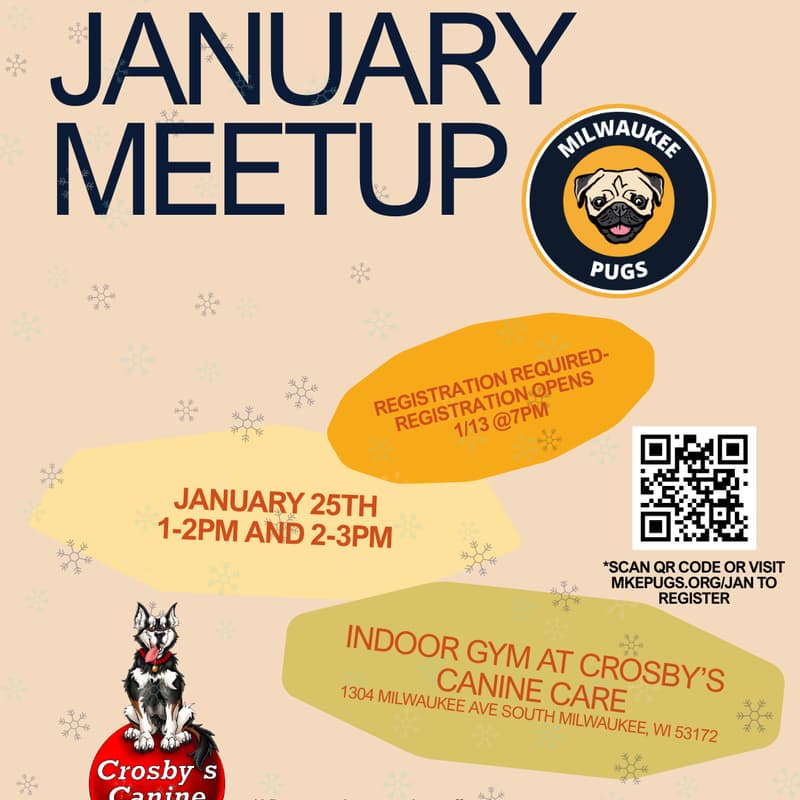 Cover Image for Milwaukee Pugs January Meetup