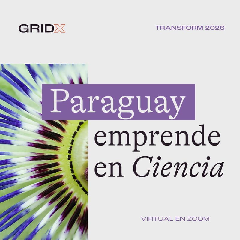 Cover Image for Paraguay emprende en Ciencia