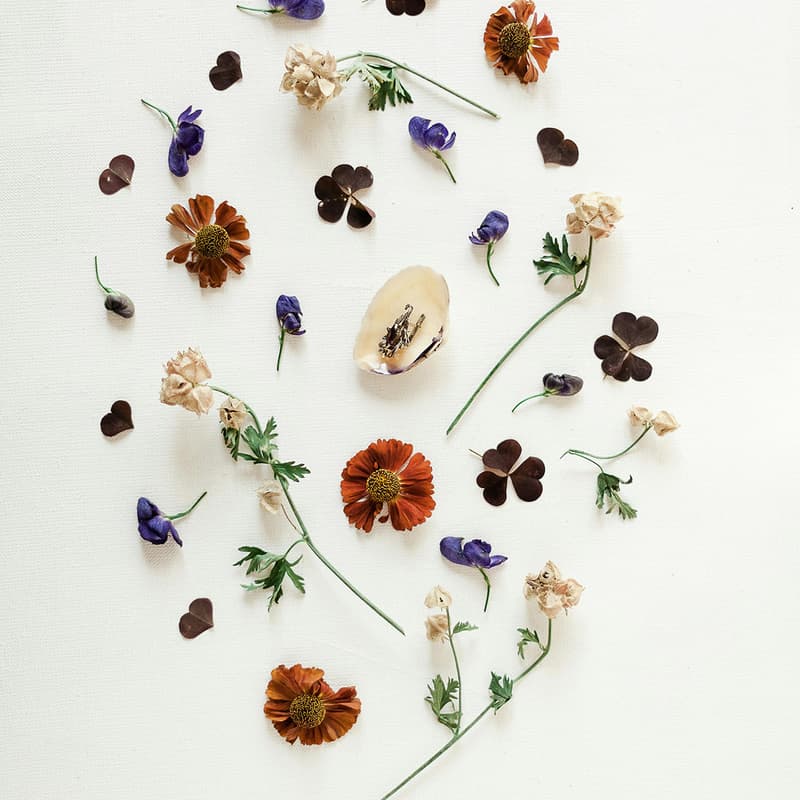 Cover Image for Listening to Your Gut Workshop