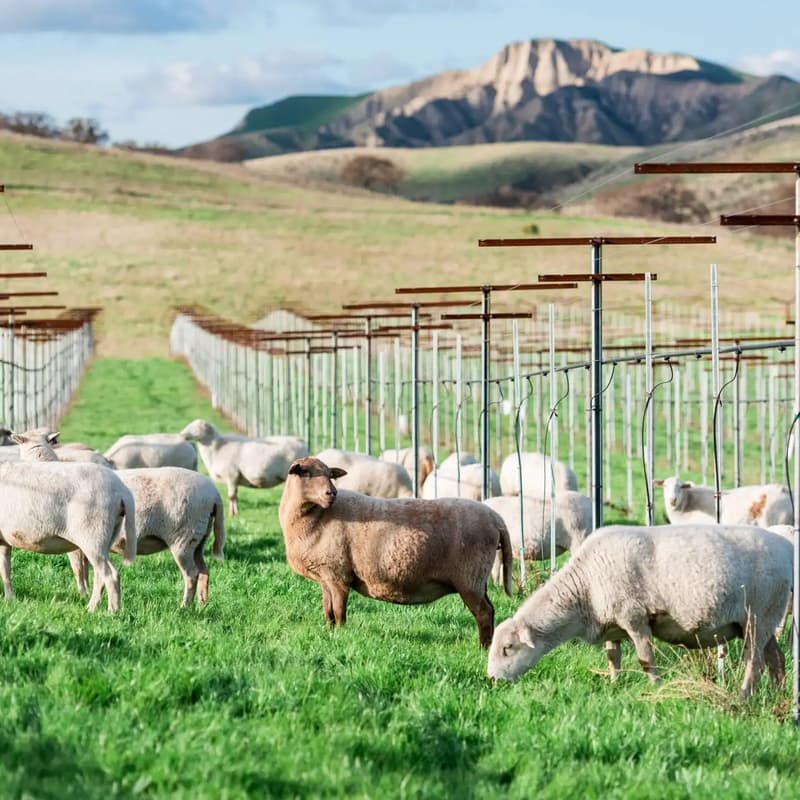 Cover Image for Climate Farm School Open House