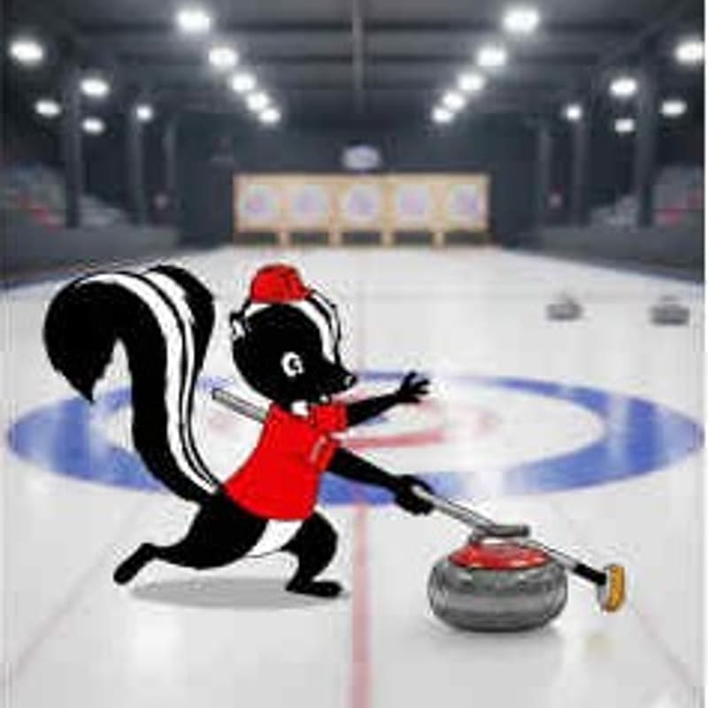 Cover Image for Ice Curling with Swank Works!