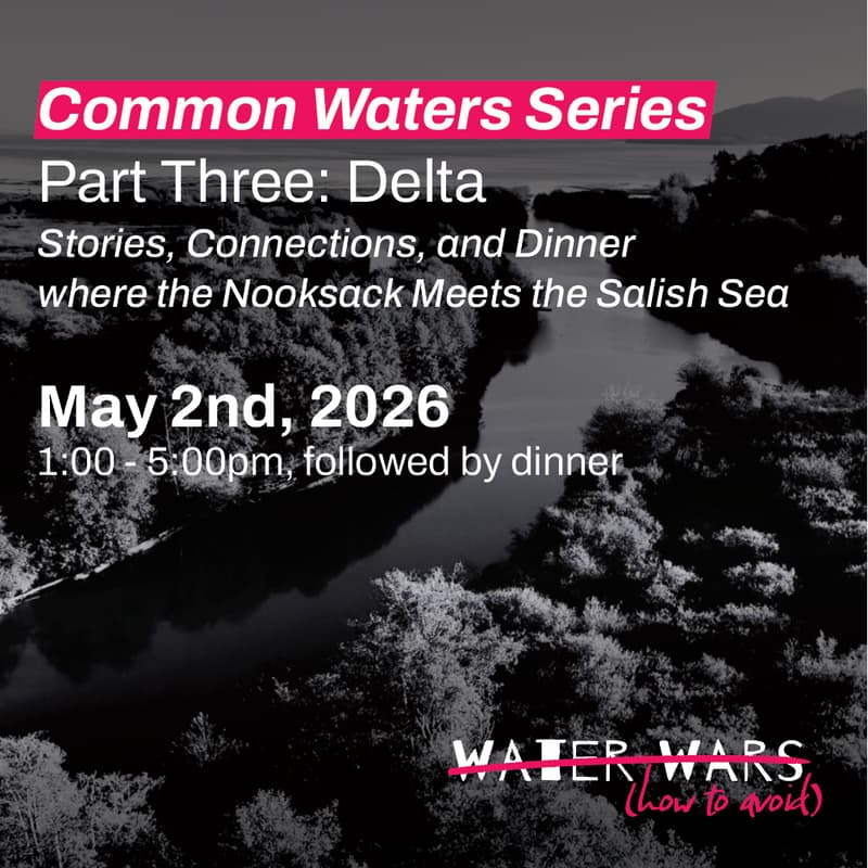 Cover Image for Common Waters: Delta