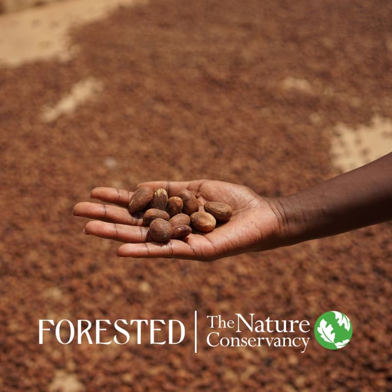 Cover Image for Beauty that regenerates the world: Ingredients for a net-zero, nature-positive, and equitable future