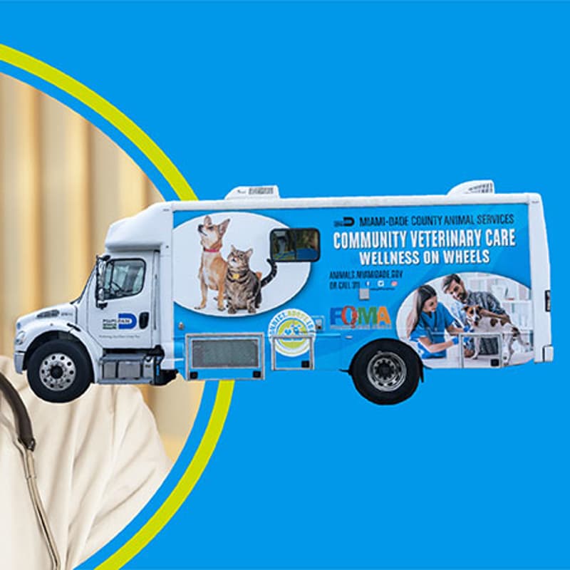 Cover Image for Clinic to help pet owners in underserved Miami-Dade communities