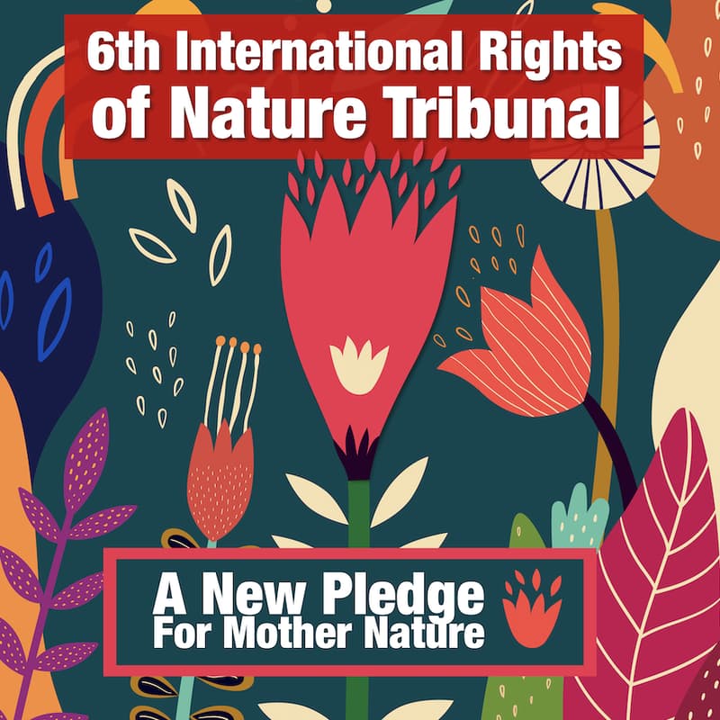 Cover Image for IN PERSON (Belém, Brazil) - 6th International Rights of Nature Tribunal: A New Pledge for Mother Nature