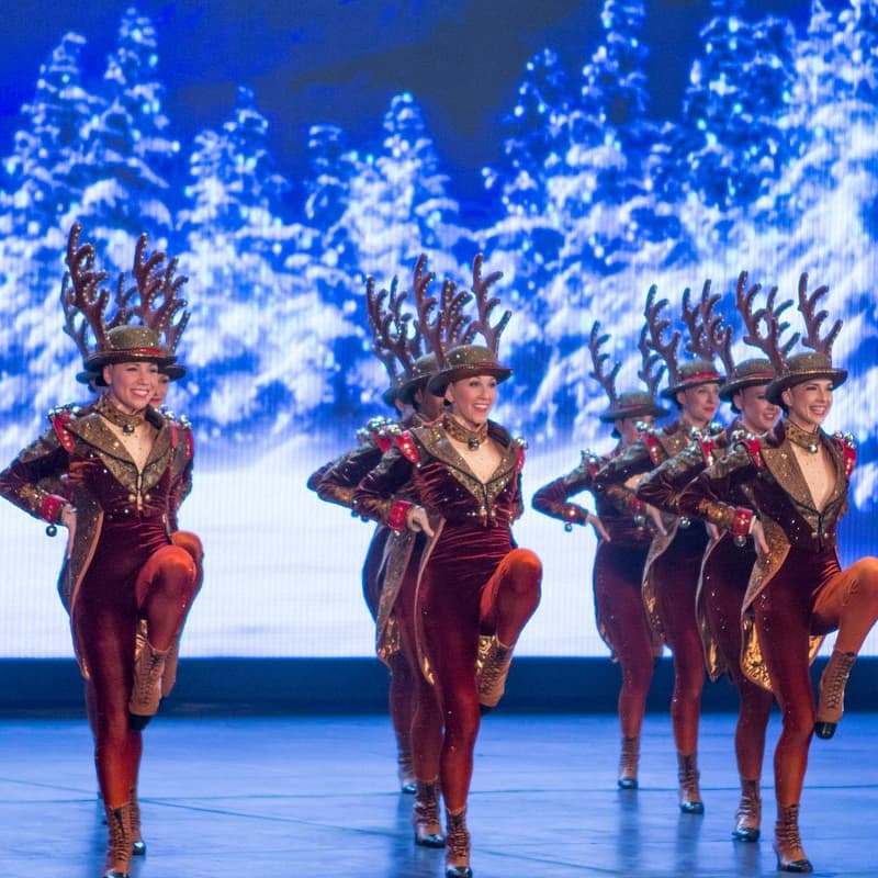 Cover Image for New Year's Glitz & Kicks: The Rockettes at Radio City | (Art-full members)