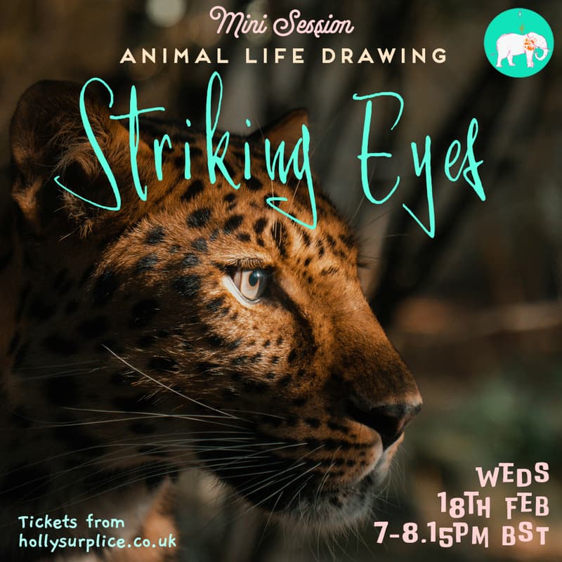 Cover Image for Mini Session - Striking Eyes!