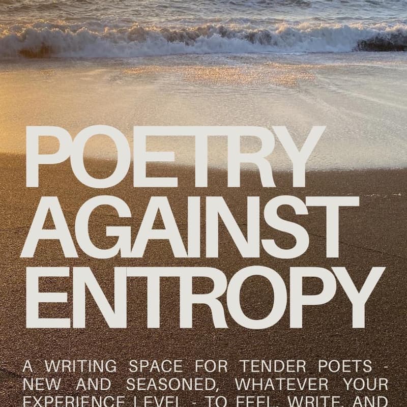 Cover Image for MIPSLIP Makes: Poetry Against Entropy