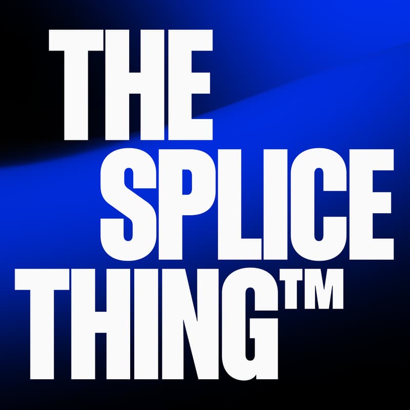 Cover Image for The Splice Thing