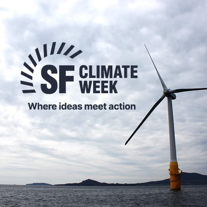 Cover Image for The Future of Offshore Wind