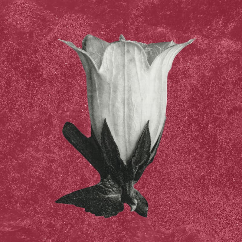 Cover Image for Beads and Breath | A Weekly Women's Rosary Circle