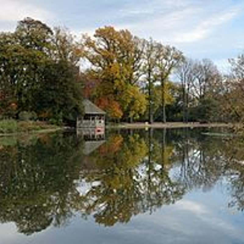 Cover Image for walk & talk -- prospect park