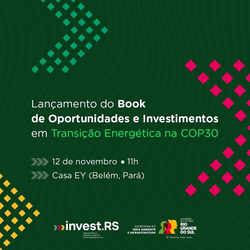 Cover Image for Lançamento na COP30 do Book de Oportunidades e Investimentos em Transição Energética no RS