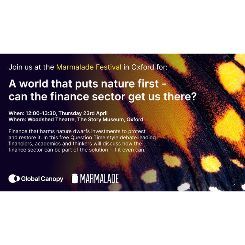 Cover Image for A world that puts nature first - can the finance sector get us there?