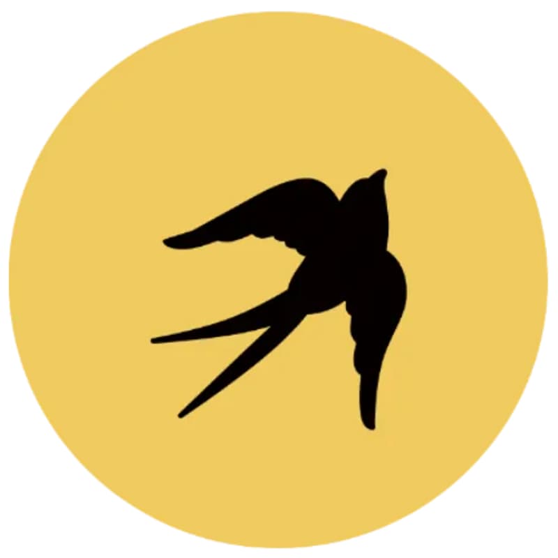 Cover Image for Life Itself Research: Weekly Meeting