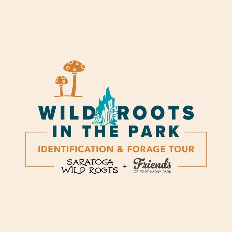 Cover Image for Foraging Tour of Fort Hardy Park (All Ages)