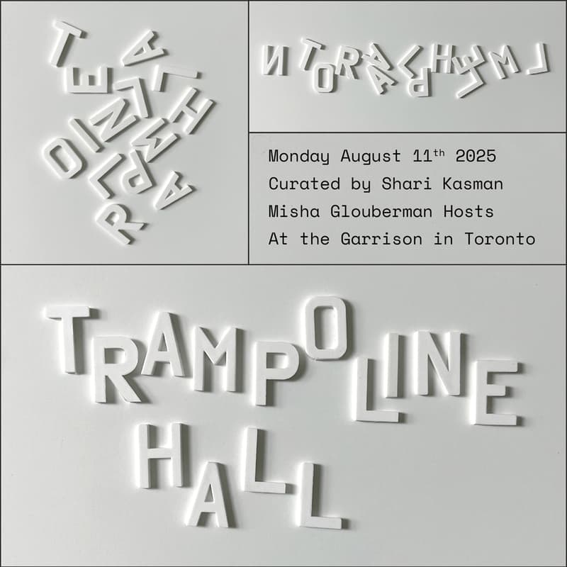 Cover Image for The Trampoline Hall Lecture Series