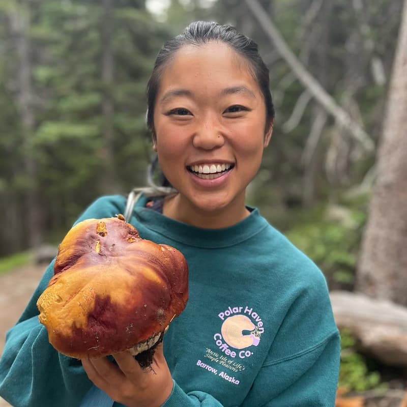 Cover Image for Spring Medicinal Herb and Mushroom Talk & Tea Tasting