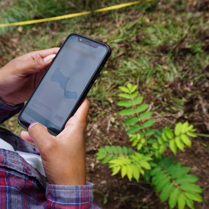 Cover Image for From Code to Canopy: Technology’s Role in Scaling Nature Restoration