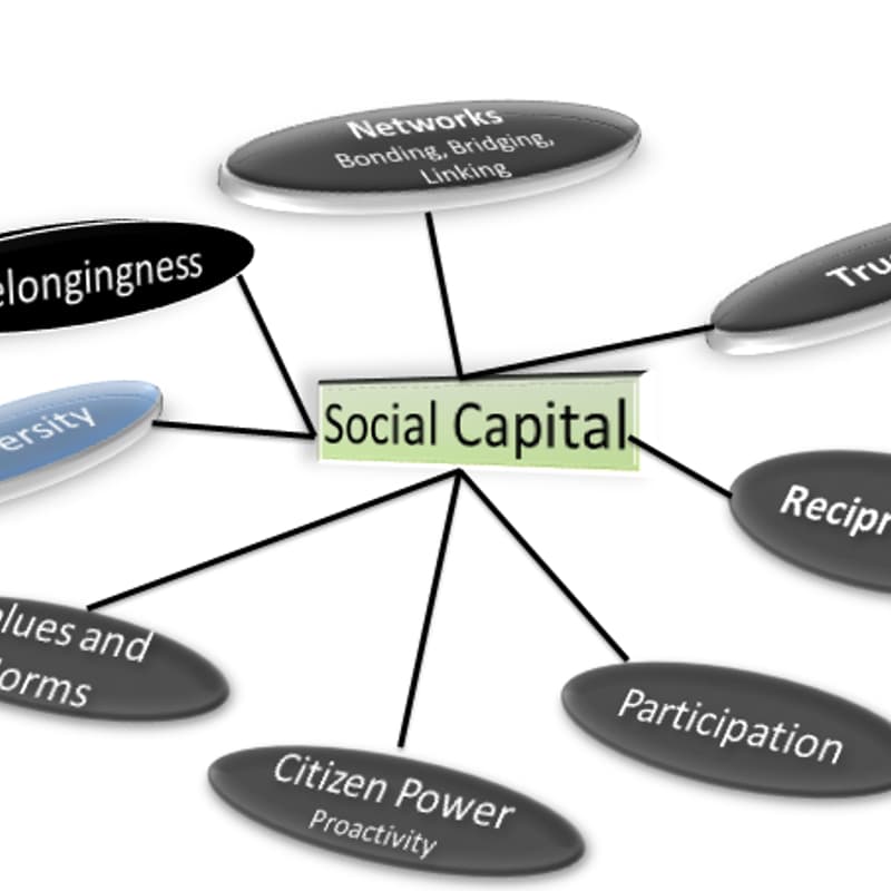 Cover Image for Why Social Capital is Important