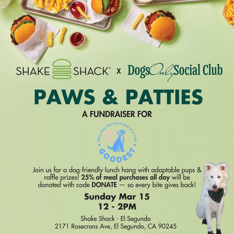 Cover Image for Paws & Patties