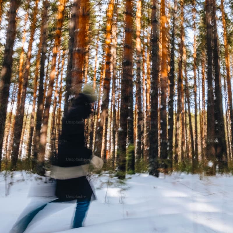 Cover Image for OFFLINE Forest Walk