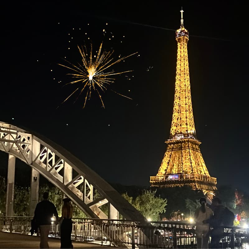 Cover Image for ⭐ New Year Wish | World Record Attempt | Eiffel Tower ⭐