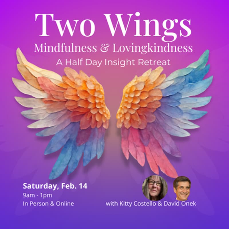 Cover Image for Two Wings: Mindfulness and Lovingkindness