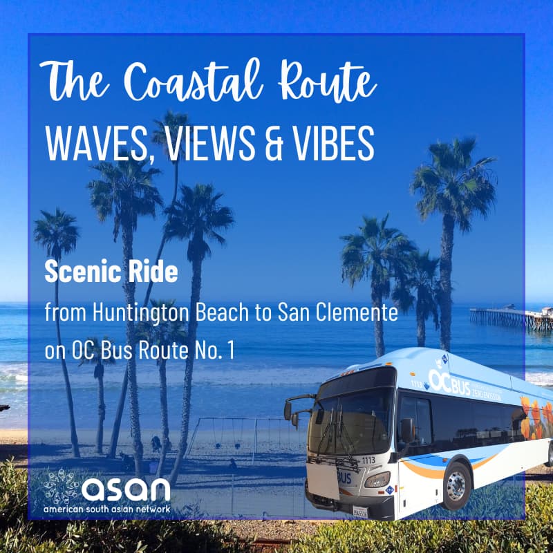 Cover Image for The Coastal Route: Waves, Views & Vibes