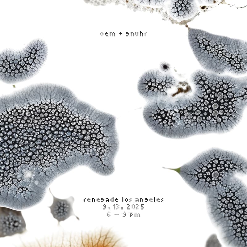 Cover Image for OEM + gnuhr Launch Event