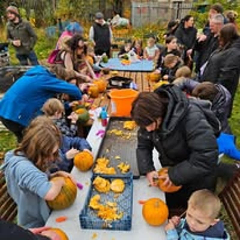 Cover Image for Pumpkin Party (Purchase child tickets only)