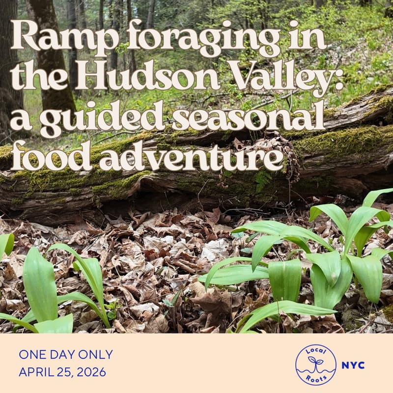 Cover Image for Ramp Foraging — A Guided Seasonal Food Adventure