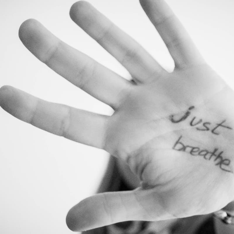 Cover Image for Beyond Breathing: Your Personal Nervous System Support System