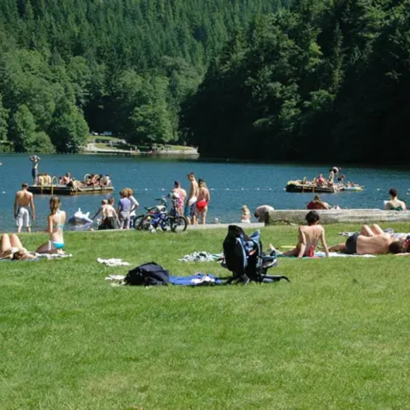 Cover Image for Alice Lake - Camping