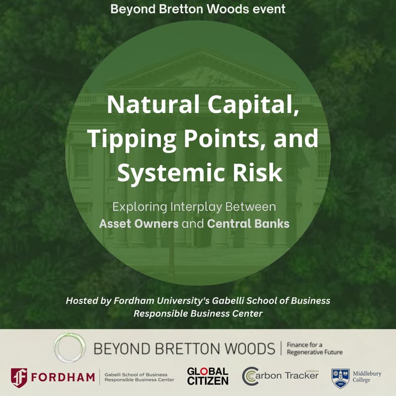 Cover Image for Natural Capital, Tipping Points, and Systemic Risk