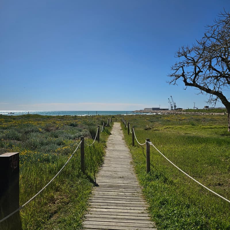 Cover Image for MONT Mindful walk Vol. 2