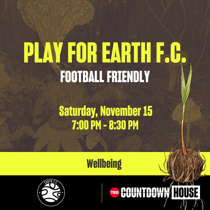 Cover Image for Play for Earth FC: Football friendly