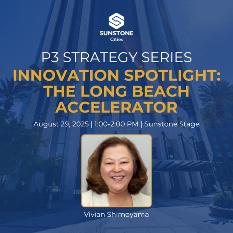 Cover Image for P3 Strategy Series