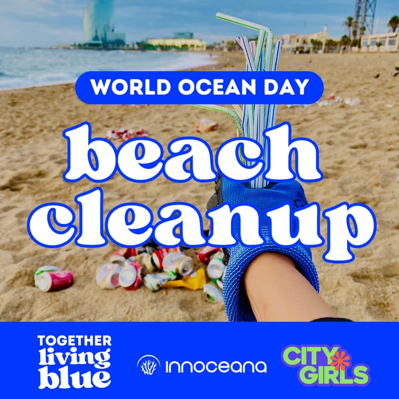 Cover Image for World Ocean Day - Beach Cleanup!