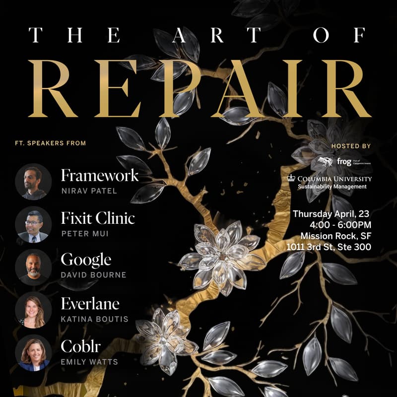 Cover Image for The Art of Repair