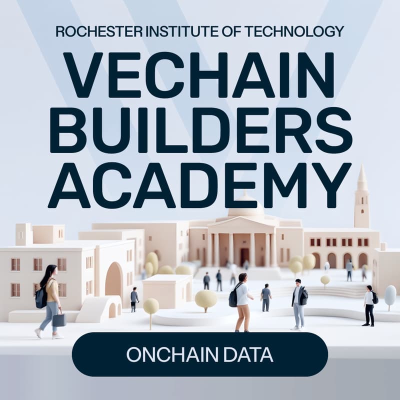 Cover Image for VeChain: Onchain data
