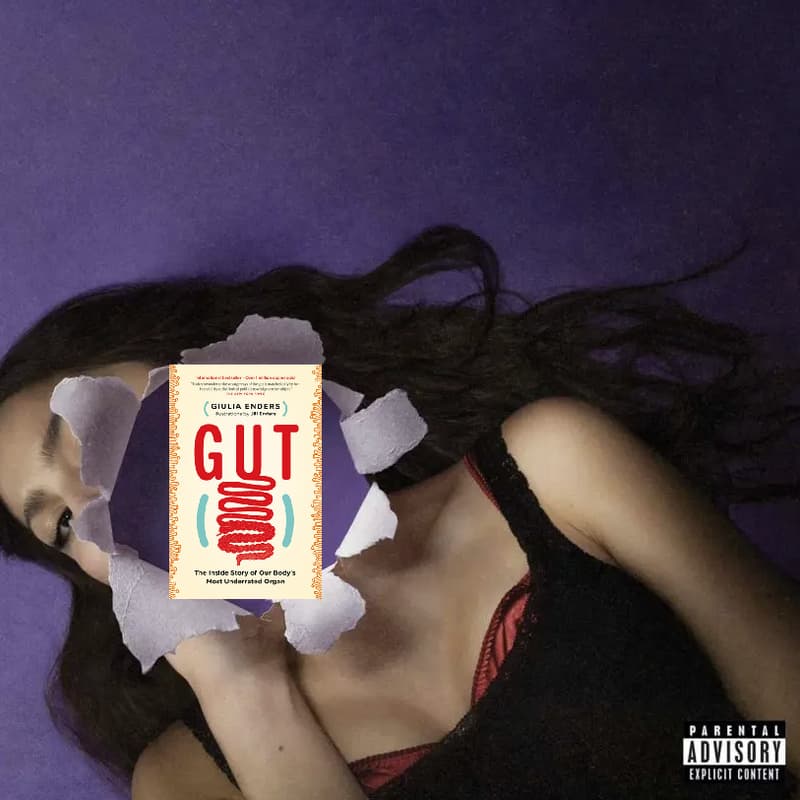 Cover Image for 11/5 Non-Fiction Book Club - GUT