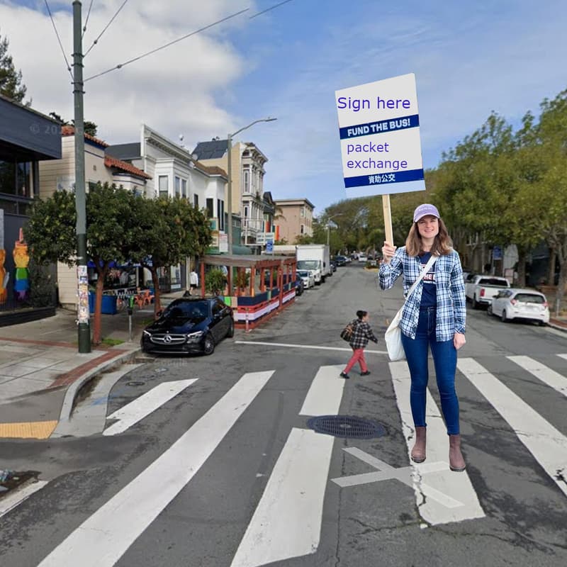 Cover Image for Signature Gathering on Solano Avenue